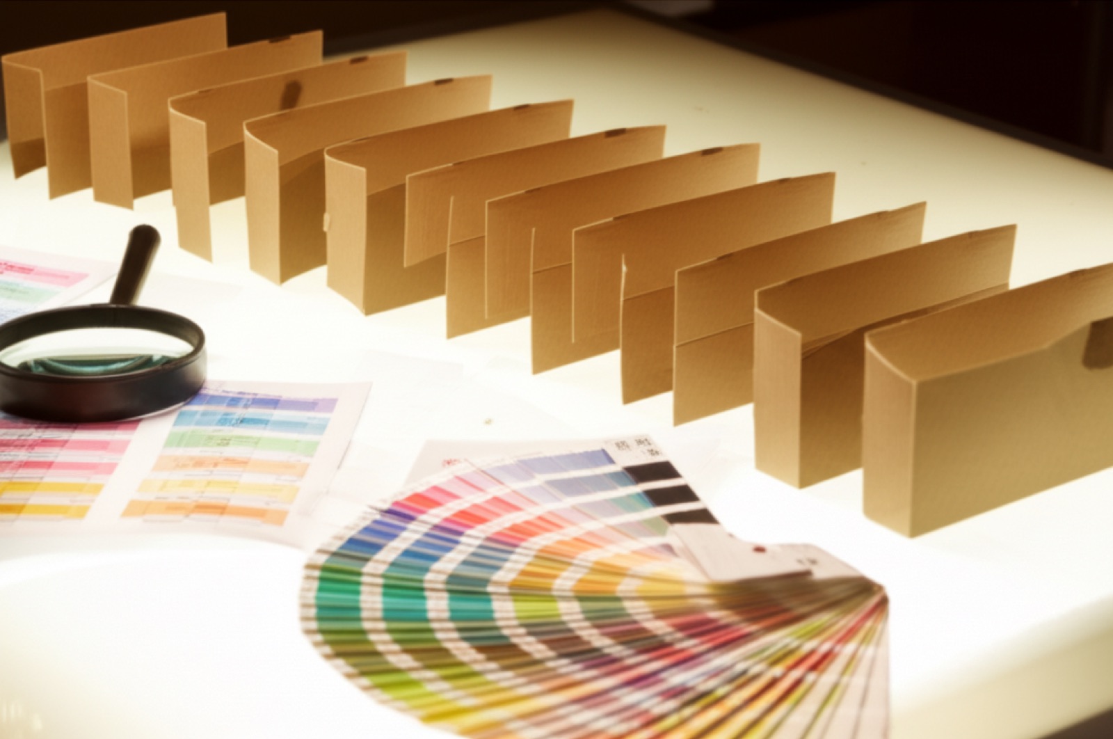 Fashion shopping bag case