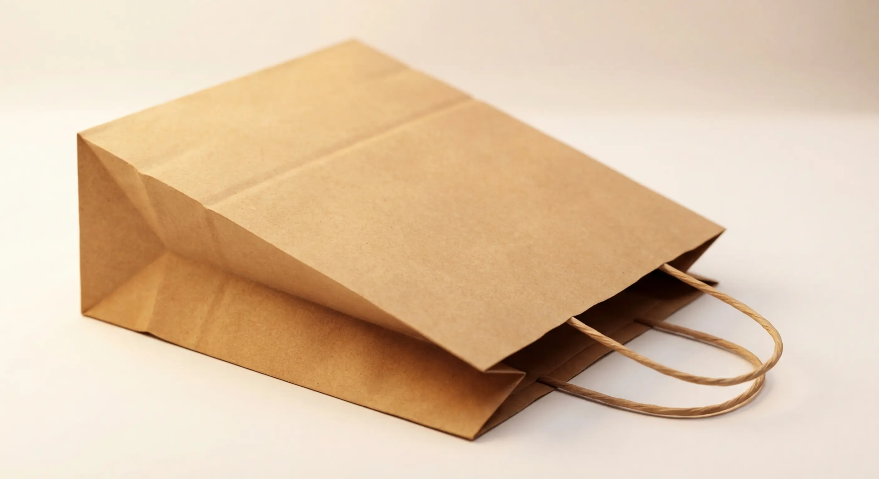 紙袋怎麼保存不發霉不褪色？庫存管理完整指南，紙袋保存相關包裝說明圖