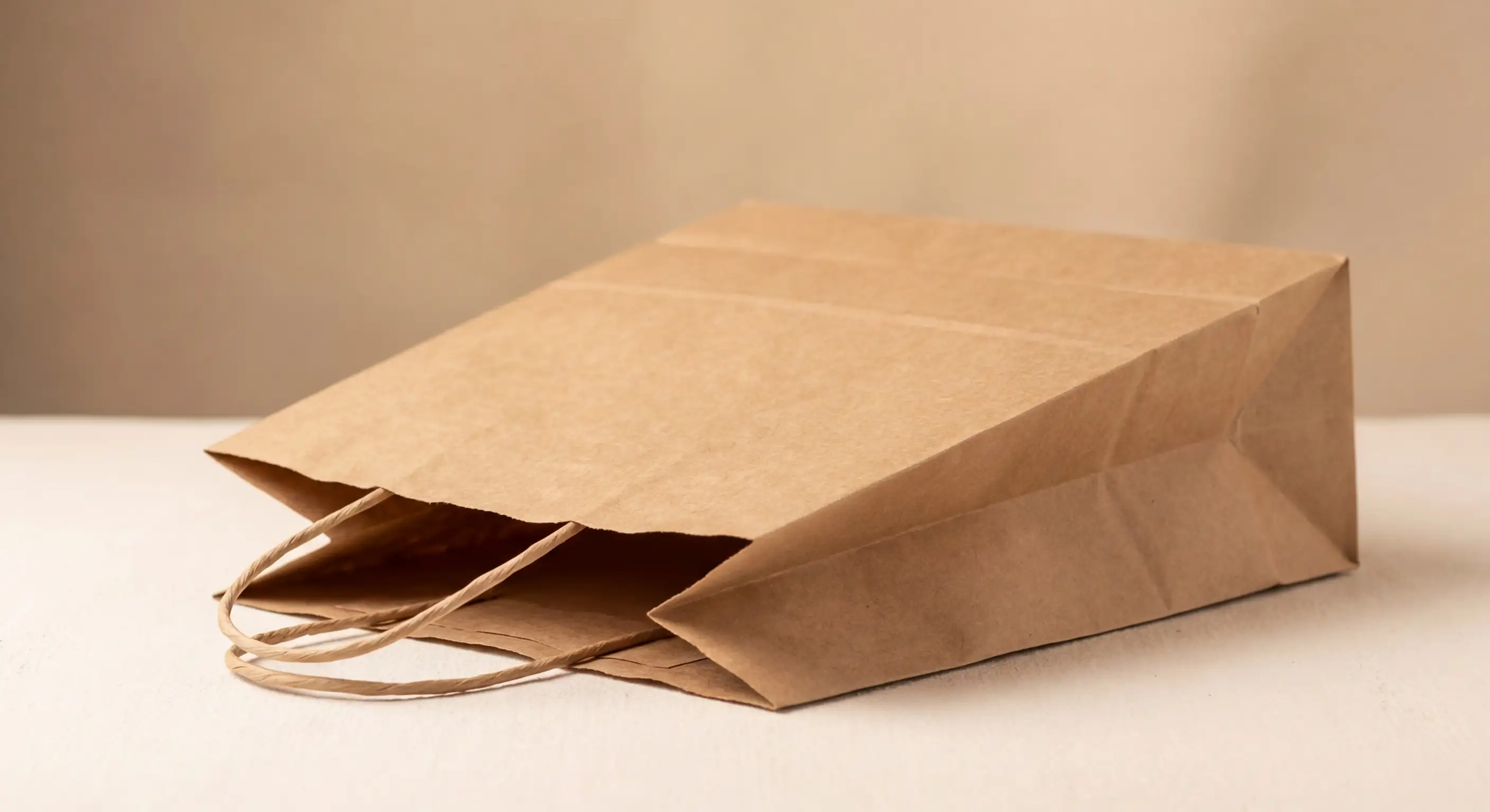 台灣客製紙袋廠商選擇指南封面，涵蓋廠商評估標準與採購流程，協助品牌找到合適的紙袋哪裡買的採購管道。