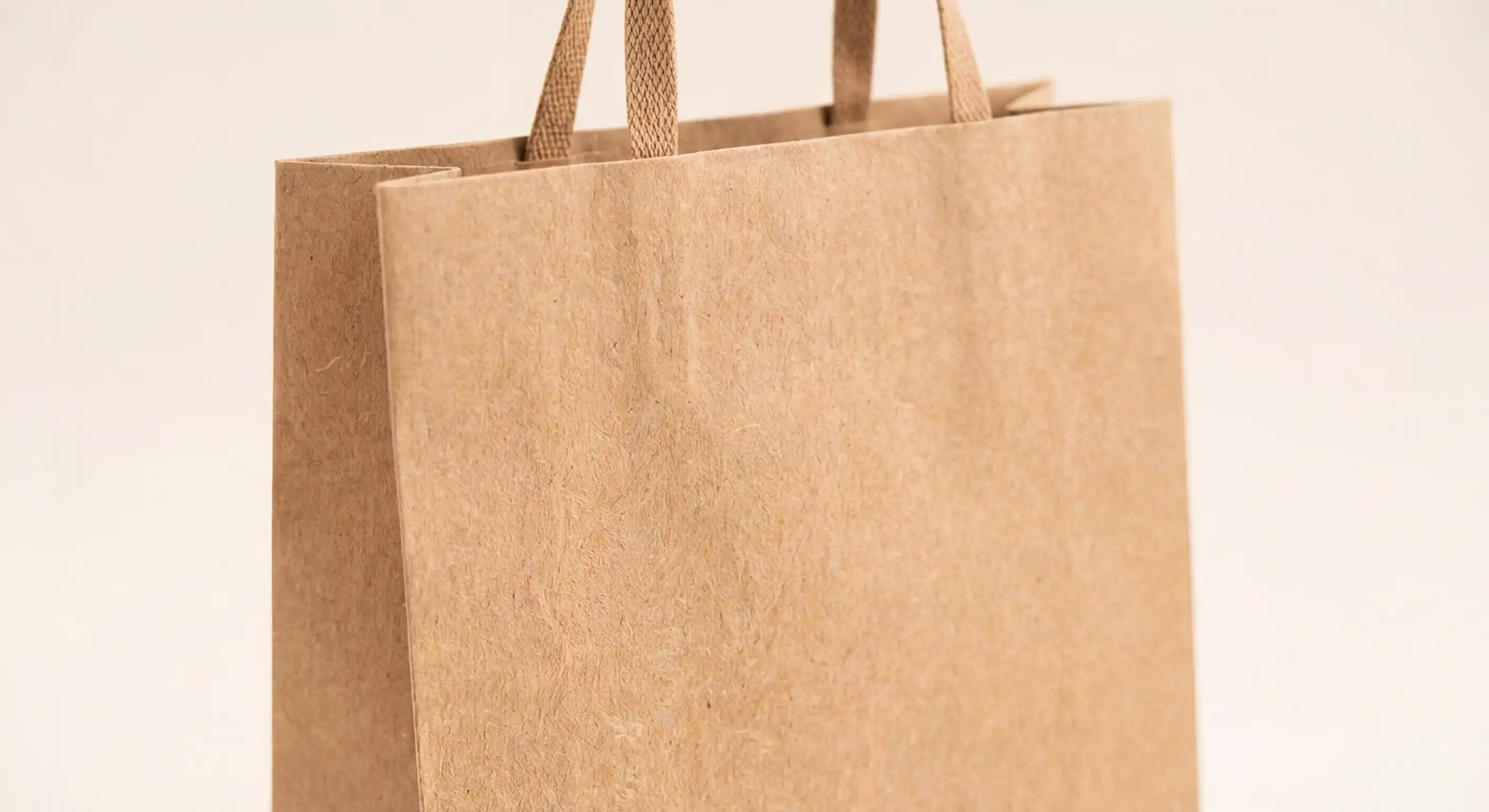 PP 編織袋客製成品展示，耐重防水透明蛇皮袋的規格說明，適合賣場與活動贈品使用的 PP 編織袋客製方案。