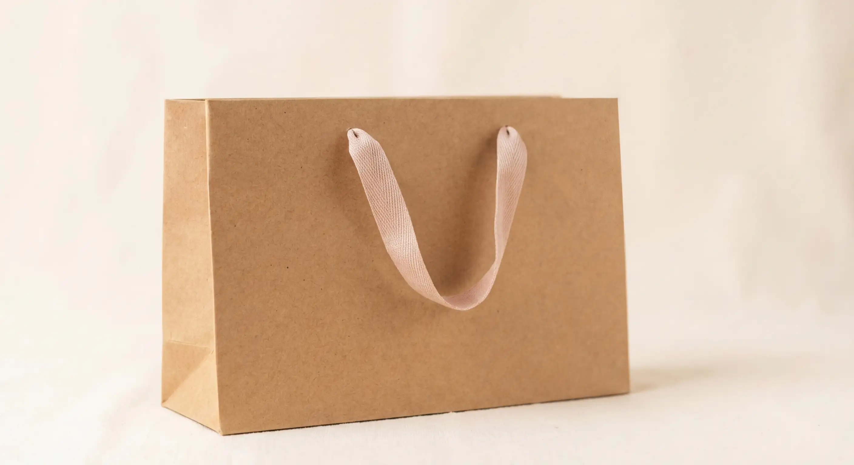 台灣限塑令下的紙袋需求變化:品牌該怎麼因應?,限塑令紙袋相關包裝說明圖